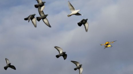 Дроните - ключът към икономиката на споделянето