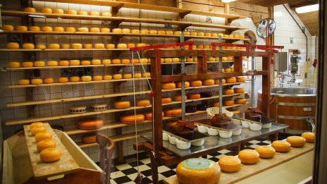 Китай започва антисубсидийно разследване на вноса на млечни продукти от ЕС