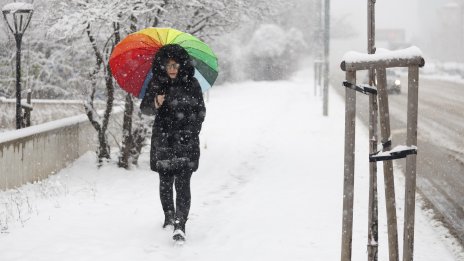Кадър на деня за 21 февруари