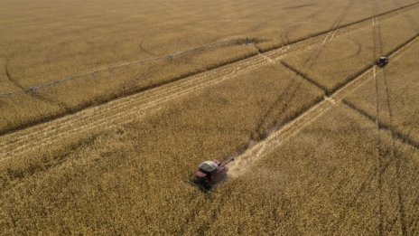 Земеделската продукция по базисни цени нарасна с 32,4% през 2021 година