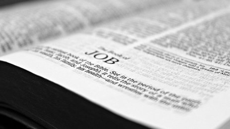 Безработните у нас ще намалеят до 179 хил. души през 2019 г., прогнозира МОТ