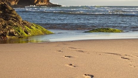 Правителството обяви за концесия осем морски плажа