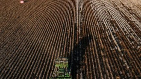 Земеделската земя в Добрич е поскъпнала с 270% за десет години