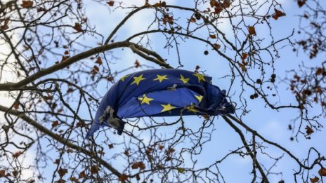 Еволюцията на ЕС – преследвне на благородна идея или адаптиране към реалността?