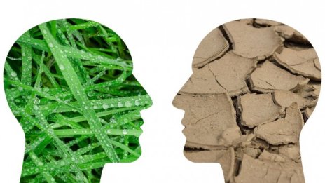 Най-голямата инвестиционна възможност в света - климатичните промени