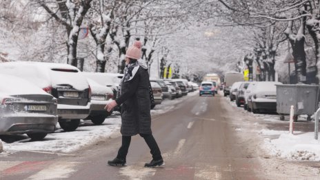 Икономиката на България леко забавя ръста си през миналата година до 3,1%