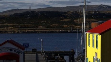 Фолкландските острови гласуват дали да останат част от Великобритания