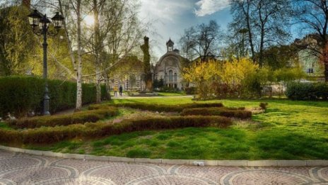 Строителните предприемачи предлагат да плащат отделна такса за озеленяване в София