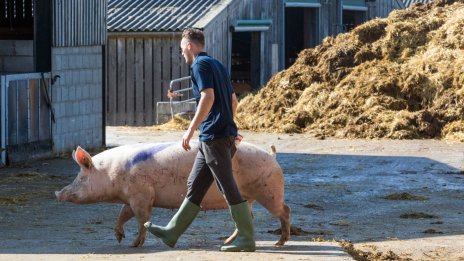 Големите животновъди по света са застрашени от климатични загуби от 24 млрд. долара