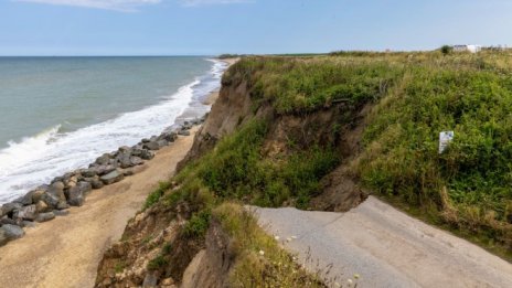 Пандемичните предприемачи може да са новата вълна на съзидателно разрушение