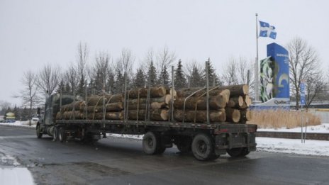 Еколози атакуват зелената таксономия на ЕК заради биомасата