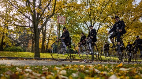 Кадър на деня за 1 ноември