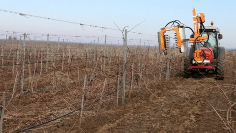 Българските изби търсят пазар за виното в Китай, Япония и САЩ