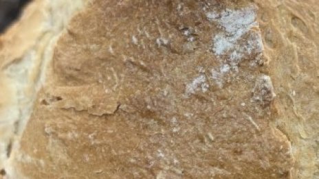 Земеделският министър: Няма опасност страната ни да остане без хляб