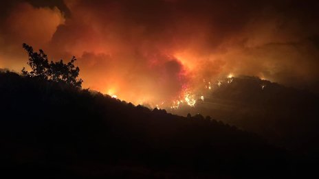 България е на второ място в ЕС по засегнати от пожари територии през 2024 г.