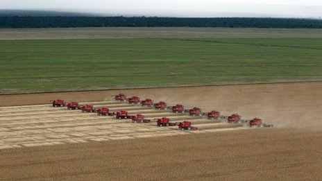 Monsanto се изправя пред тежка битка за пазара на соя