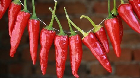 Малки стопанства ще получат по 15 хил. евро от Програмата за селските райони