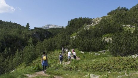 Природозащитници искат планът за управление на парк Пирин да бъде преработен