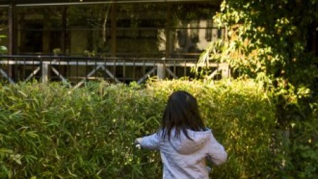 В Япония предлагат безплатно празни жилища в провинцията