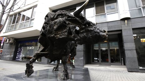 Нетната печалба на "Шелли груп" за шестмесечието расте с 58% до 18,1 млн. лв.