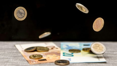 Бюджетната комисия прие решение за ускоряване на подготовката за еврото