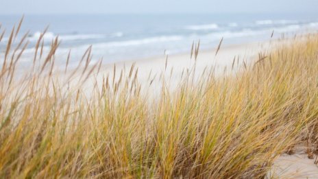 Два плажа в област Варна имат нов концесионер