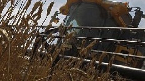 Румъния очаква рекордно земеделско производство тази година