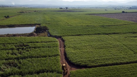 Анализ: Между 60% и 70% от почвите в Европа не са в добро състояние