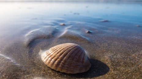 Хотелиерите ще пращат имената на туристите в МВР от лятото на 2017 година