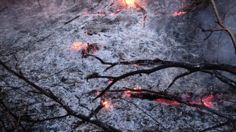 Бразилия: Пожарите в Амазония са под контрол
