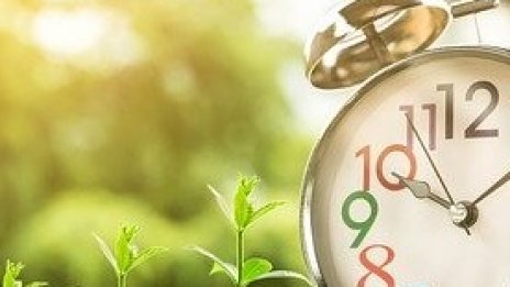 Новото мото на Wall Street: Инвестираме в зелено