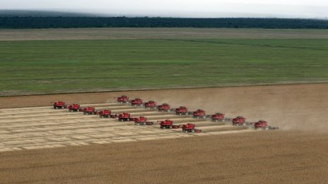 Русия може да замести част от американските доставки на соя в Китай