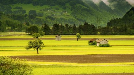 Порожанов: По ПРСР не са плащани хеликоптери, самолети и яхти