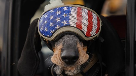 Американските магнати подкрепят късогледо Тръмп