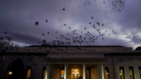 Технологичните Топ 5 са похарчили 64,3 млн. долара за лобизъм през 2018 г.