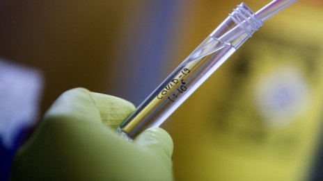 15 области в страната са без регистриран случай на COVID