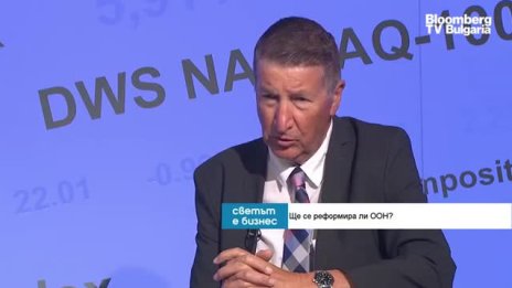 Дипломат: ООН постепенно губи своя смисъл и ориентир