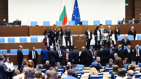 След срамни сцени в парламента депутатите одобриха премахването на таксата за руския газ