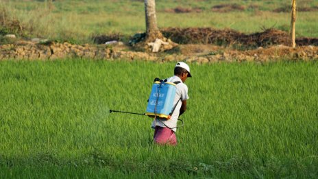 Климатичните промени застрашават здравето на 2,4 млрд. служители по света
