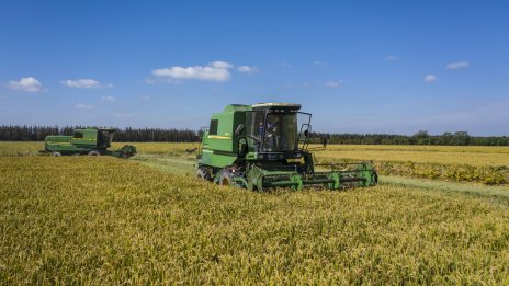 Цените на храните в света намаляха до двегодишно дъно през май