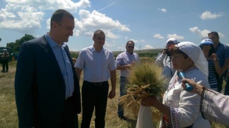 Над 5 млн. тона се очаква да е реколтата от пшеница