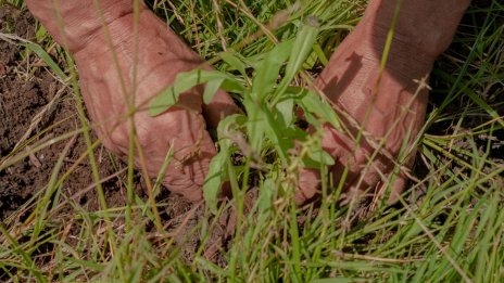 Световният ESG дълг ще продължи да расте колебливо