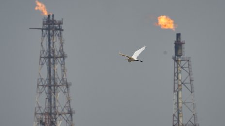 Трудното решение пред ОПЕК+