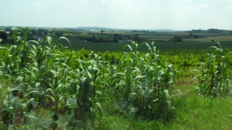 „Адванс Терафонд“ продаде през март земя за 3000 лв. на декар, но само 43 дка