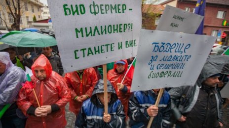 Албена Симеонова: Фермери се отказват от биопроизводството
