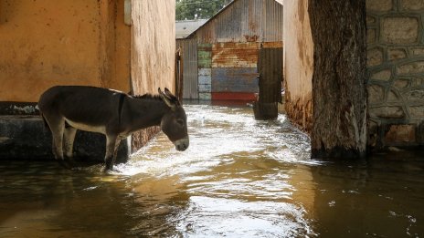 Кадър на деня за 20 ноември