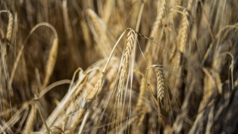 Киев: Путин се изплю в лицето на Гутериш и Ердоган