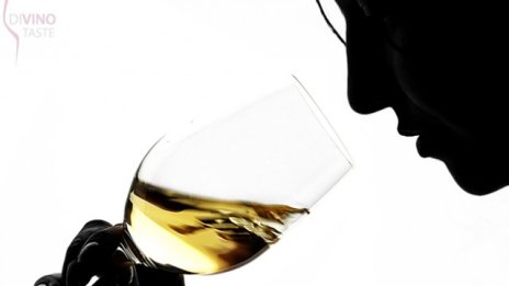 Първи форум на българското вино - DiVino.Taste събира 40 български производители