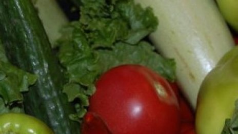 Още 12 млн. евро агросубсидии за млади фермери се пускат до 2 седмици