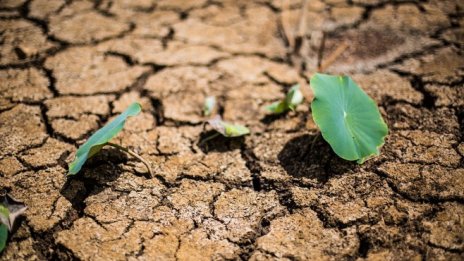 Рядък сигнал за дъно на мечия пазар дава надежда за биткойна